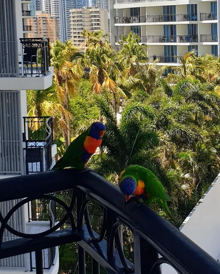 Bellagio@Chevron, Luxe, 2 Bedroom Apartment In The Heart Of Surfers Paradise! Guldkusten Australien